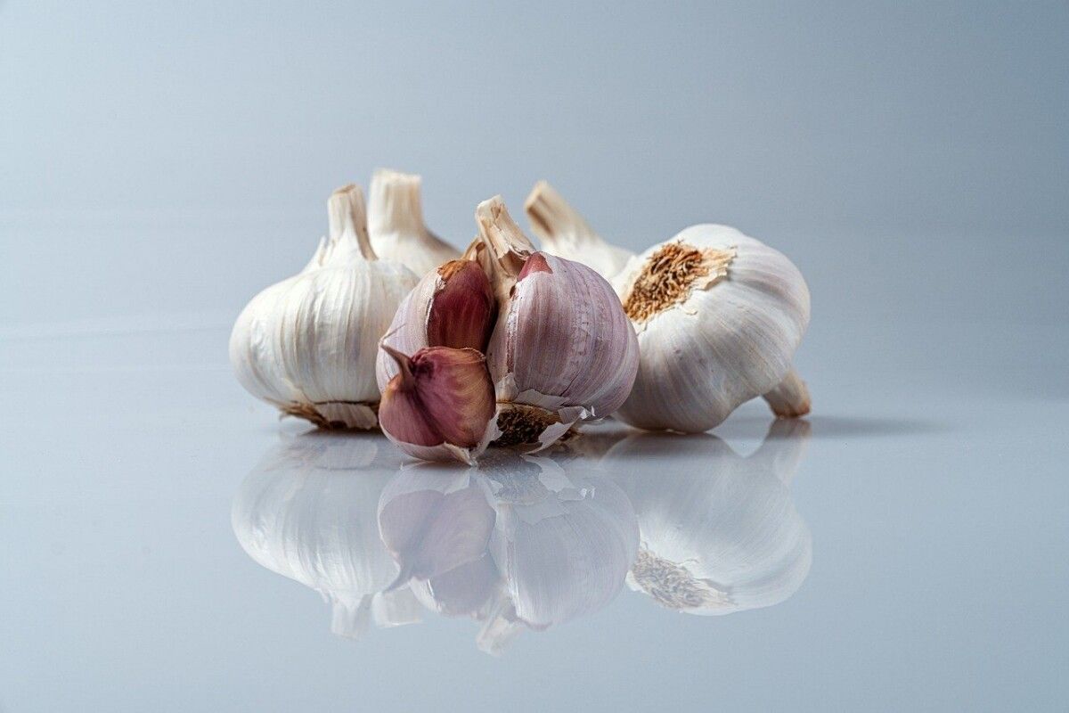 partez à la découverte de saveurs inédites et d'expériences gourmandes uniques à travers des aventures culinaires passionnantes, pour éveiller vos papilles et explorer le monde de la cuisine.