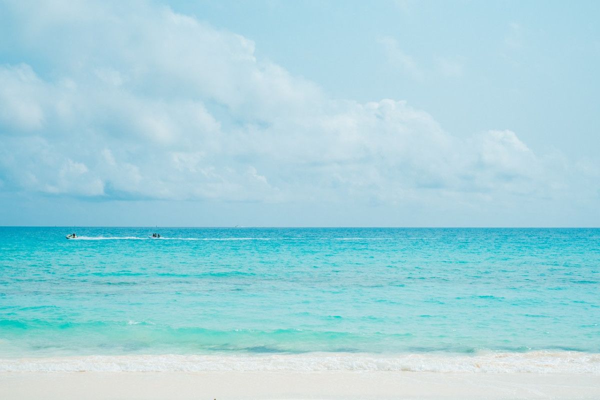 découvrez les plus belles destinations tropicales à travers le monde : plages de sable fin, eaux turquoise, paysages luxuriants et cultures vibrantes vous attendent pour une escapade inoubliable au soleil.