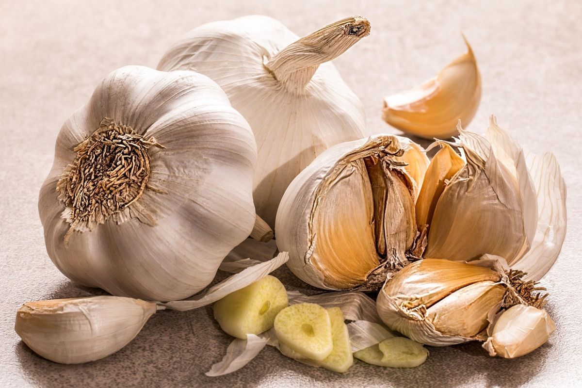 découvrez une aventure culinaire unique qui vous emmènera à travers des saveurs exquises, des recettes traditionnelles et des techniques innovantes. explorez des cuisines du monde entier et laissez-vous inspirer par des expériences gastronomiques inoubliables.