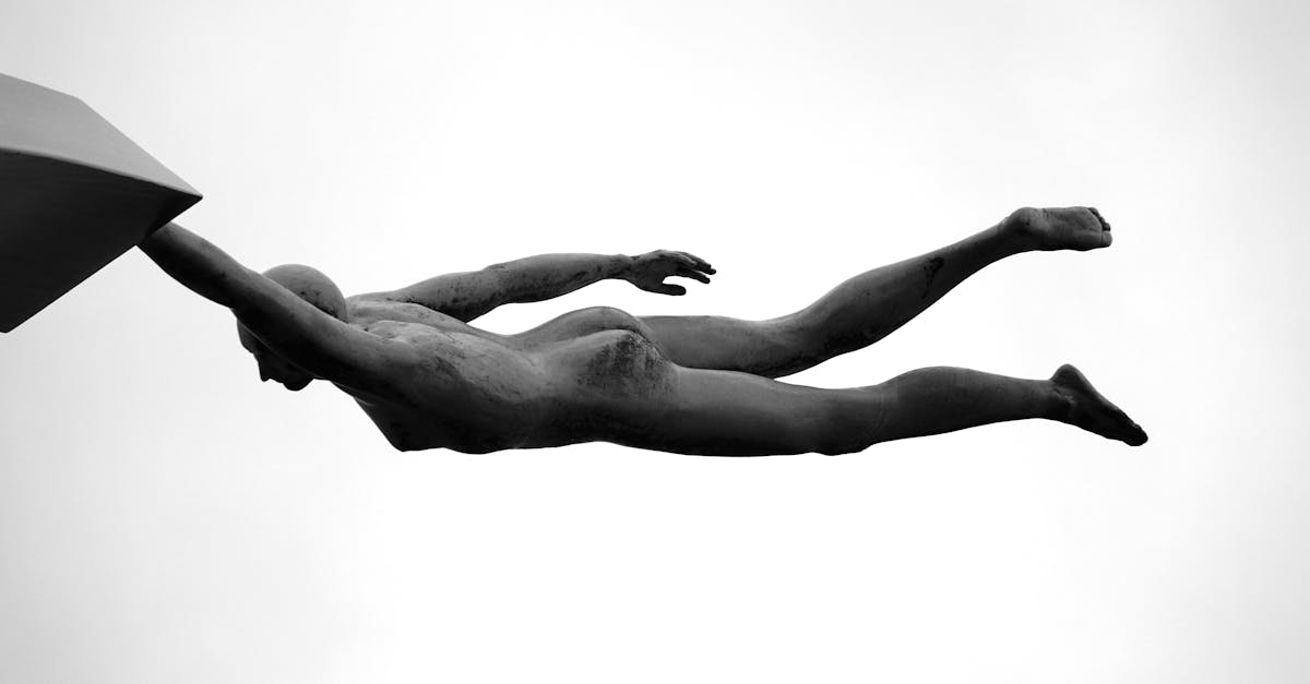 découvrez l'univers fascinant de la sculpture, un art qui transforme la matière en émotions. explorez les techniques, les styles et les artistes qui donnent vie à des œuvres marquantes, que ce soit au travers de la taille, du modelage ou de l’assemblage. plongez dans la créativité et la passion qui animent chaque sculpture.