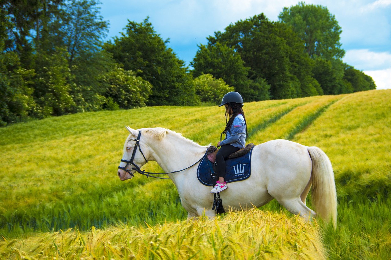 Les plus belles balades à cheval en pleine nature