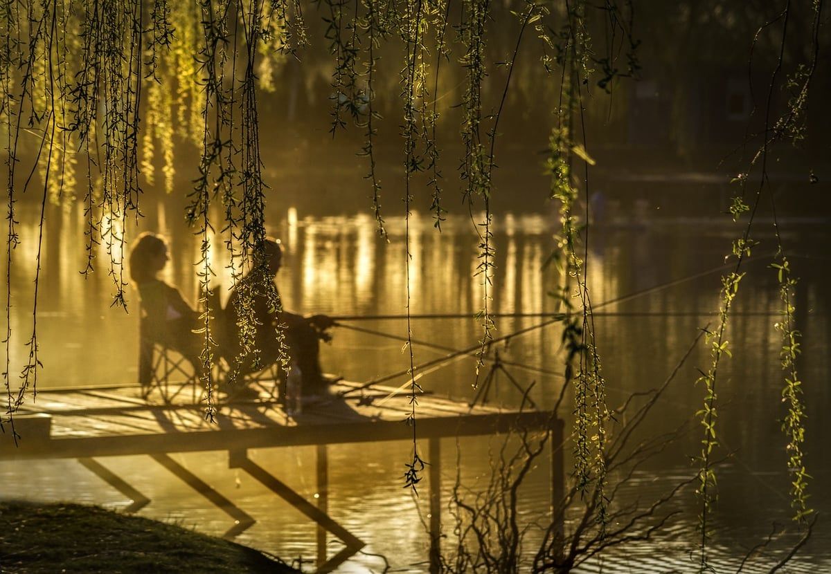 Les plus beaux lacs pour des activités en plein air
