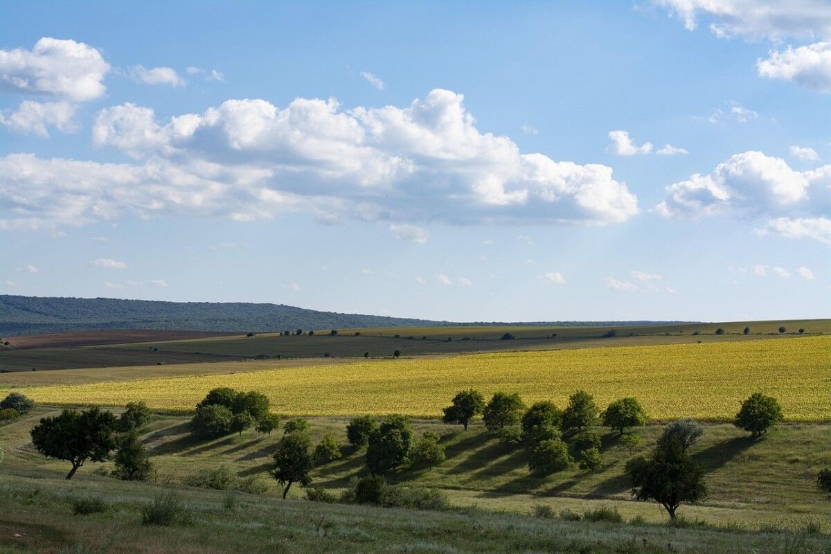 Découvrez Dobrogea : un court métrage primé à Barcelone qui met en lumière la gastronomie mondiale