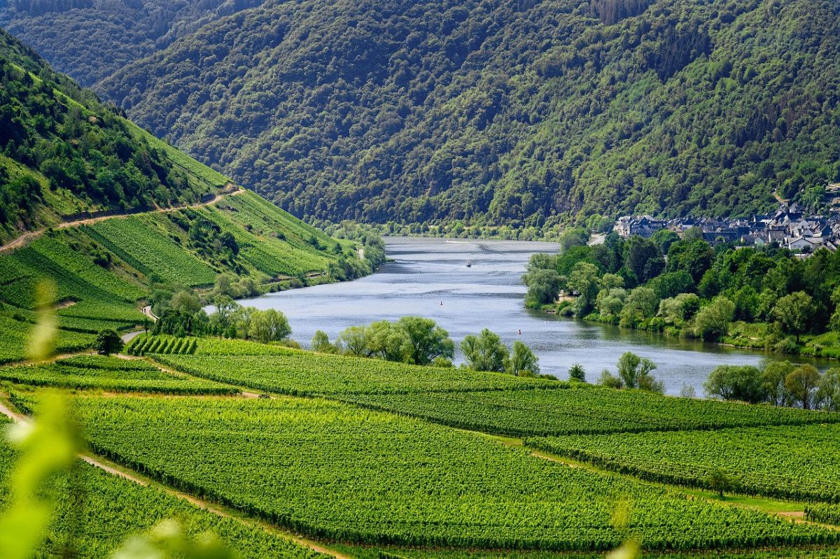 destinations idéales pour les amateurs de gastronomie