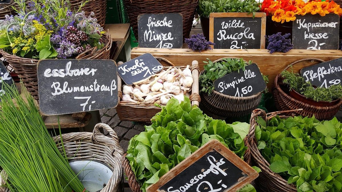 À la découverte des marchés locaux de chaque destination