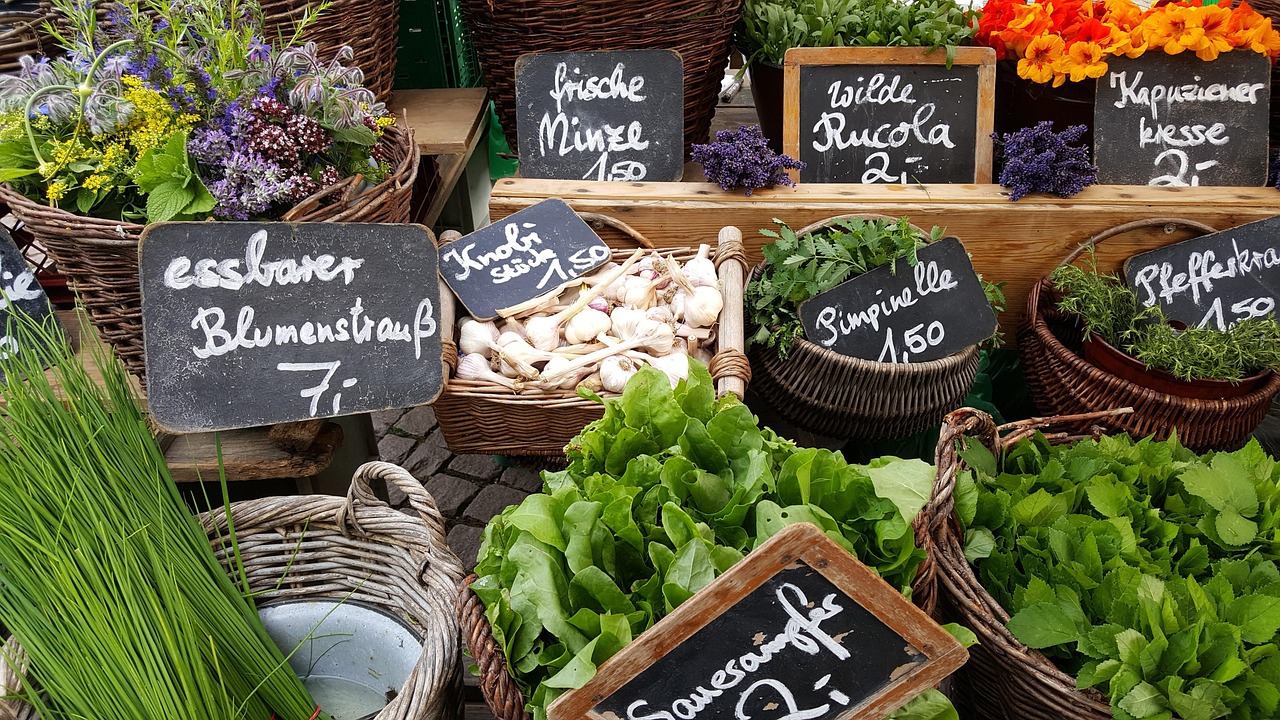 À la découverte des marchés locaux de chaque destination