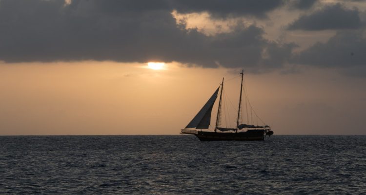 découvrez les îles caïmans, un paradis tropical aux plages de sable blanc, aux eaux cristallines et à une vie marine exceptionnelle. plongez dans un monde de détente, d'aventures aquatiques et de culture locale vibrante.