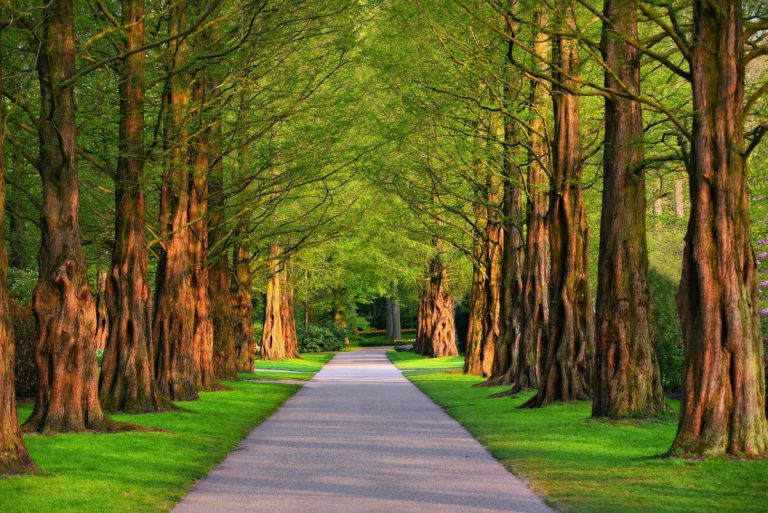 Découvrez les plus beaux parcs naturels de la France