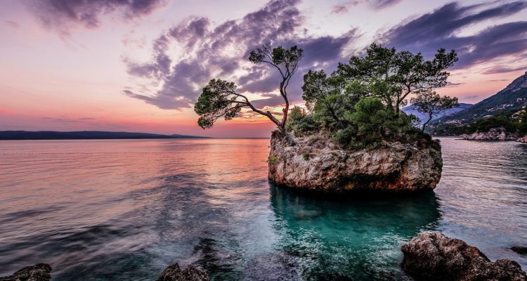 découvrez des destinations tropicales exotiques qui vous promettent des plages de sable fin, des eaux turquoise et une biodiversité éclatante. évadez-vous vers des îles paradisiaques et vivez des expériences inoubliables au cœur de la nature.