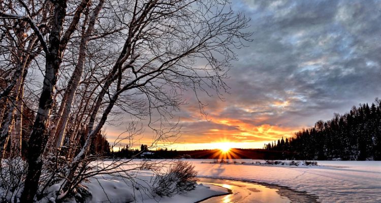 découvrez la magie de l'hiver : paysages enneigés, activités de saison et moments chaleureux au coin du feu. plongez dans l'ambiance hivernale et laissez-vous inspirer par la beauté de cette période féerique.