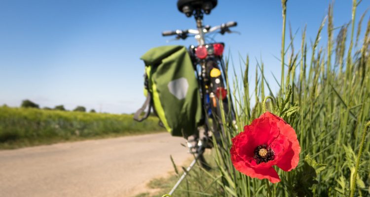 découvrez une variété d'activités de plein air passionnantes et revigorantes, allant de la randonnée à l'escalade, en passant par le camping et les sports nautiques. parfait pour les amateurs d'aventure en quête d'évasion et de nature.