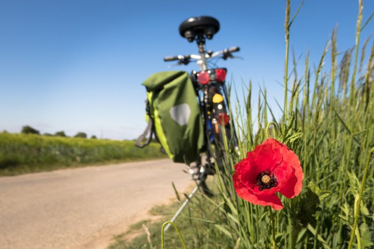 Les meilleures périodes de l’année pour pratiquer des activités en plein air