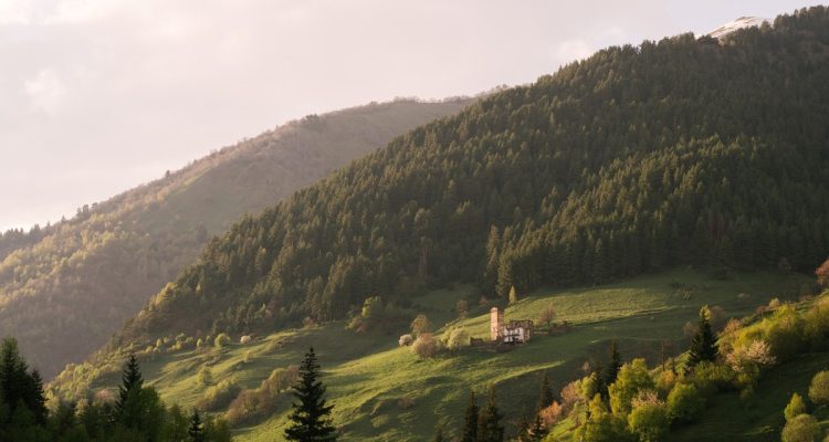 découvrez les pays les plus accueillants pour les touristes, offrant des paysages magnifiques, une riche culture et une hospitalité inégalée. explorez les meilleures destinations pour vos prochaines vacances!