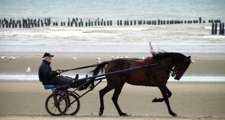 découvrez les plus belles plages du monde, idéales pour des vacances de rêve. plages de sable fin, eaux cristallines et paysages à couper le souffle vous attendent pour des moments inoubliables en bord de mer.