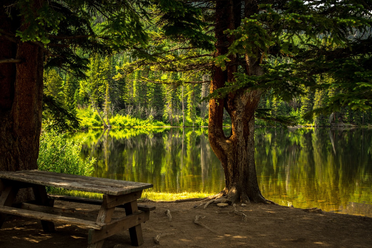 découvrez la beauté des parcs naturels, où la faune et la flore s'épanouissent dans des paysages à couper le souffle. explorez des sentiers enchanteurs, profitez d'activités de plein air et reconnectez-vous avec la nature. parfait pour les amoureux de l'écologie et les aventuriers en quête d'évasion.