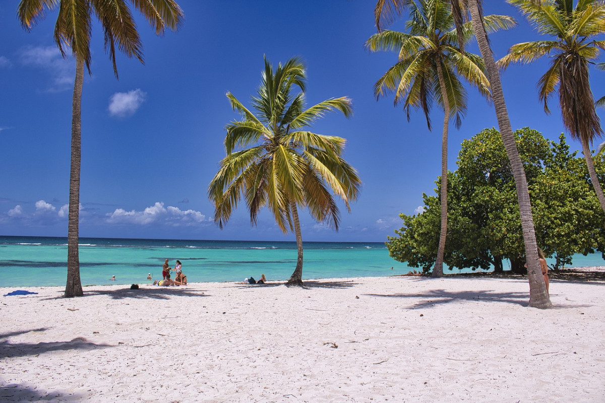 découvrez les meilleures destinations de voyage à travers le monde. explorez des paysages époustouflants, des cultures fascinantes et des expériences inoubliables qui vous attendent. que vous recherchiez des plages paradisiaques, des aventures en montagne ou des escapades urbaines, trouvez l'inspiration pour votre prochain voyage.