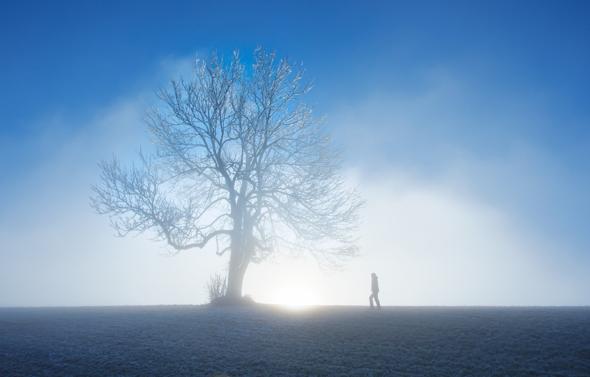 découvrez l'hiver sous toutes ses formes : paysages enneigés, activités de saison, conseils de mode et recettes réconfortantes pour profiter pleinement des mois froids.