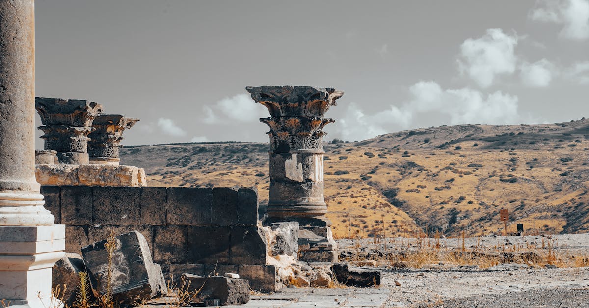 découvrez l'évolution fascinante des civilisations à travers l'histoire. explorez les cultures, les innovations et les contributions qui ont façonné le monde tel que nous le connaissons aujourd'hui.