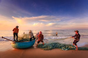 découvrez les meilleures destinations de pêche à travers le monde. que vous soyez amateur ou pêcheur expérimenté, explorez des lieux idylliques pour vivre des expériences inoubliables au bord de l'eau.