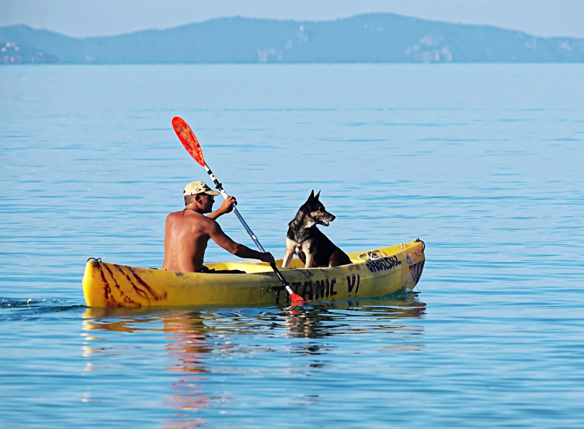 découvrez les plaisirs du canoë-kayak en pleine nature. que vous soyez débutant ou expert, embarquez pour des aventures aquatiques inoubliables, explorez des paysages à couper le souffle et vivez des moments de convivialité entre amis ou en famille.