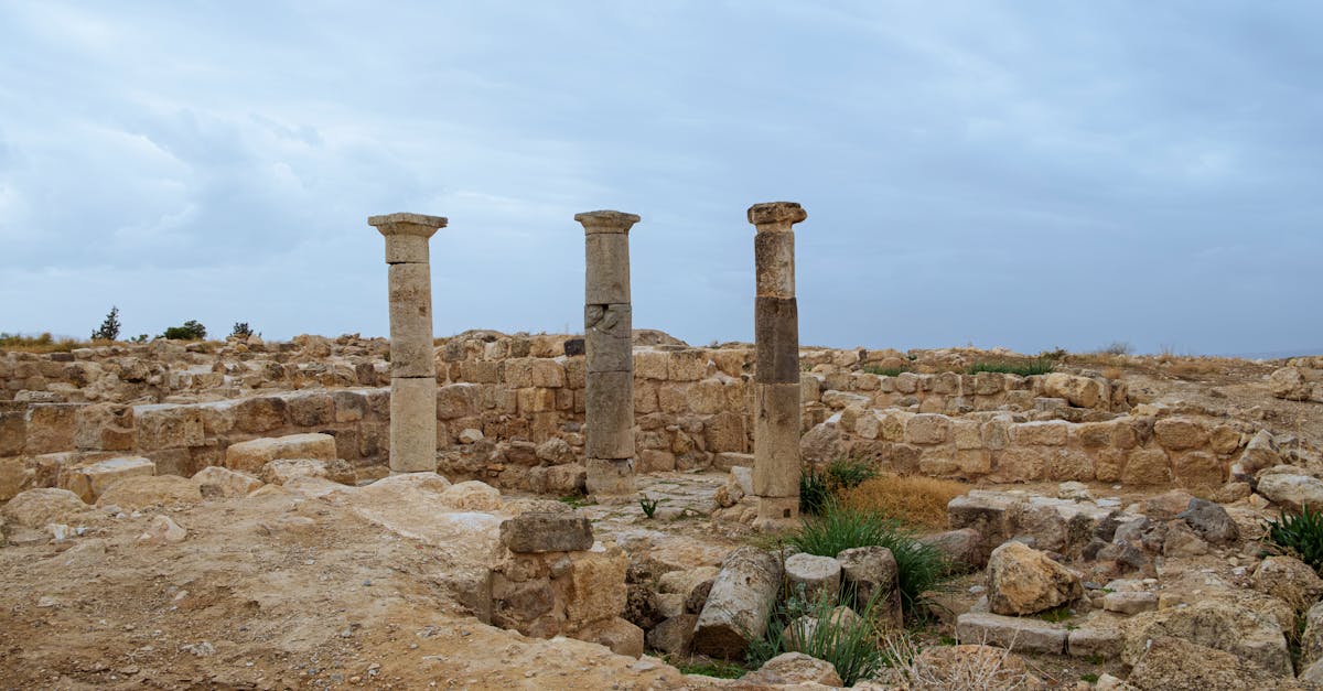 explorez l'évolution fascinante des civilisations à travers l'histoire, de leurs cultures riches et variées à leurs contributions durables à la société moderne. découvrez les grandes réalisations, les défis rencontrés et l'héritage laissé par nos ancêtres.