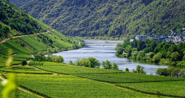 découvrez l'univers du gastro-tourisme, une expérience immersive alliant exploration culinaire et découverte des terroirs. partez à la rencontre des traditions gastronomiques locales, savourez des plats authentiques et vivez des moments inoubliables au cœur des cultures culinaires du monde entier.