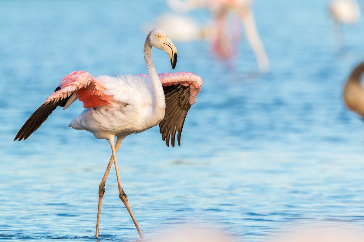 découvrez des destinations exotiques à couper le souffle qui éveilleront vos sens et enrichiront vos voyages. explorez des paysages enchanteurs, des cultures fascinantes et des expériences inoubliables à travers le monde.