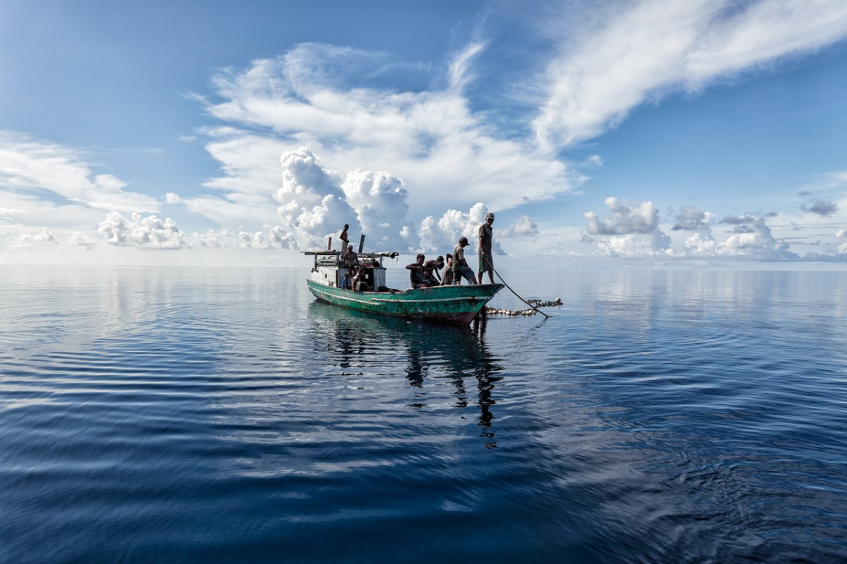 découvrez les meilleures destinations de pêche à travers le monde. que vous soyez un pêcheur chevronné ou un novice, trouvez l'endroit idéal pour vos prochaines aventures de pêche, avec des conseils sur les espèces locales et les meilleures saisons.