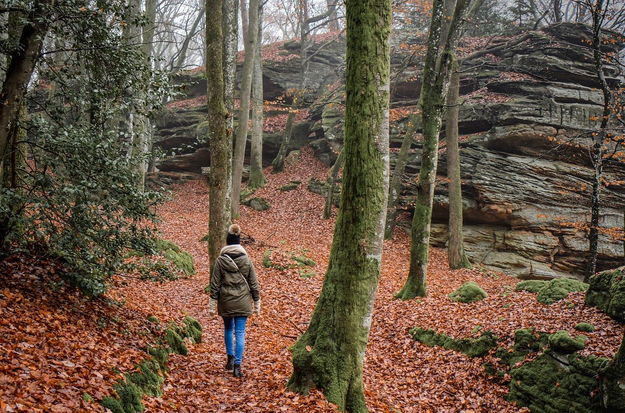 découvrez l'univers enrichissant de la randonnée : des sentiers époustouflants, des paysages à couper le souffle et une connexion pure avec la nature. que vous soyez novice ou expert, explorez nos conseils, itinéraires et astuces pour profiter pleinement de votre prochaine aventure en plein air.