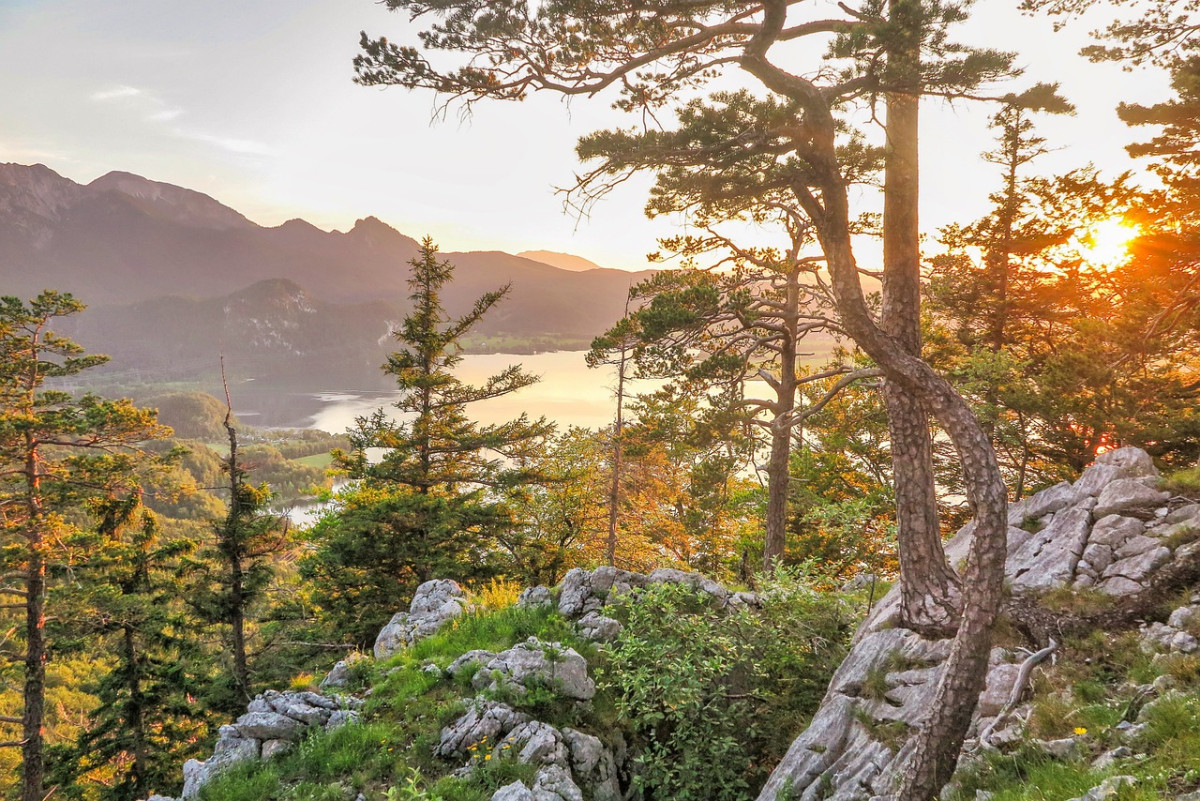 découvrez les merveilles de la nature en vous adonnant à la randonnée. explorez des sentiers spectaculaires, profitez d'une activité saine et ressentez la liberté des grands espaces. que vous soyez débutant ou expert, la randonnée vous attend pour des aventures inoubliables.