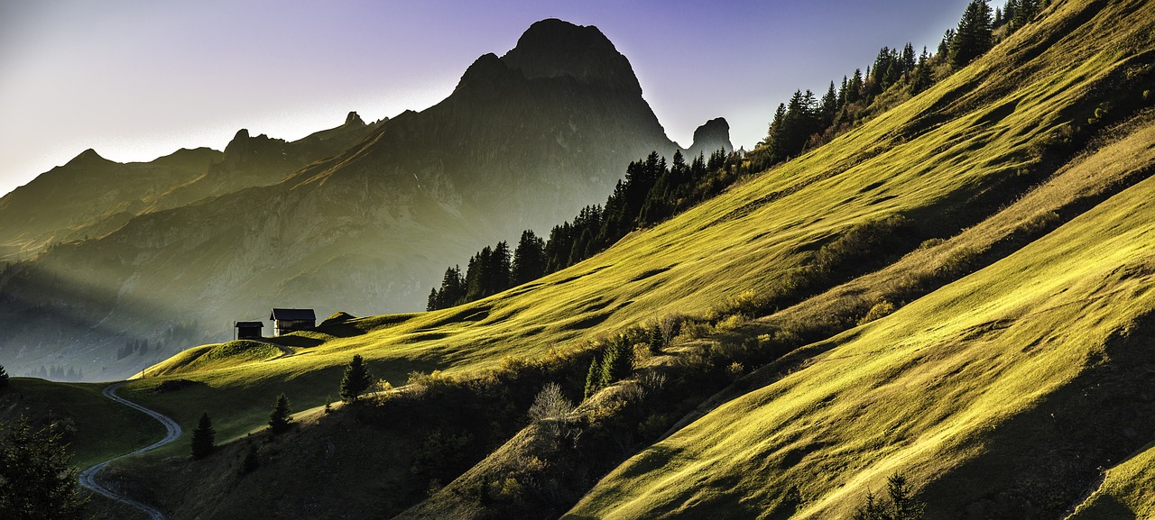 découvrez des paysages montagneux à couper le souffle, où la nature sauvage rencontre des panoramas époustouflants. partez à l'aventure au cœur des montagnes, explorez des sentiers pittoresques et laissez-vous émerveiller par la beauté des sommets enneigés et des vallées verdoyantes.