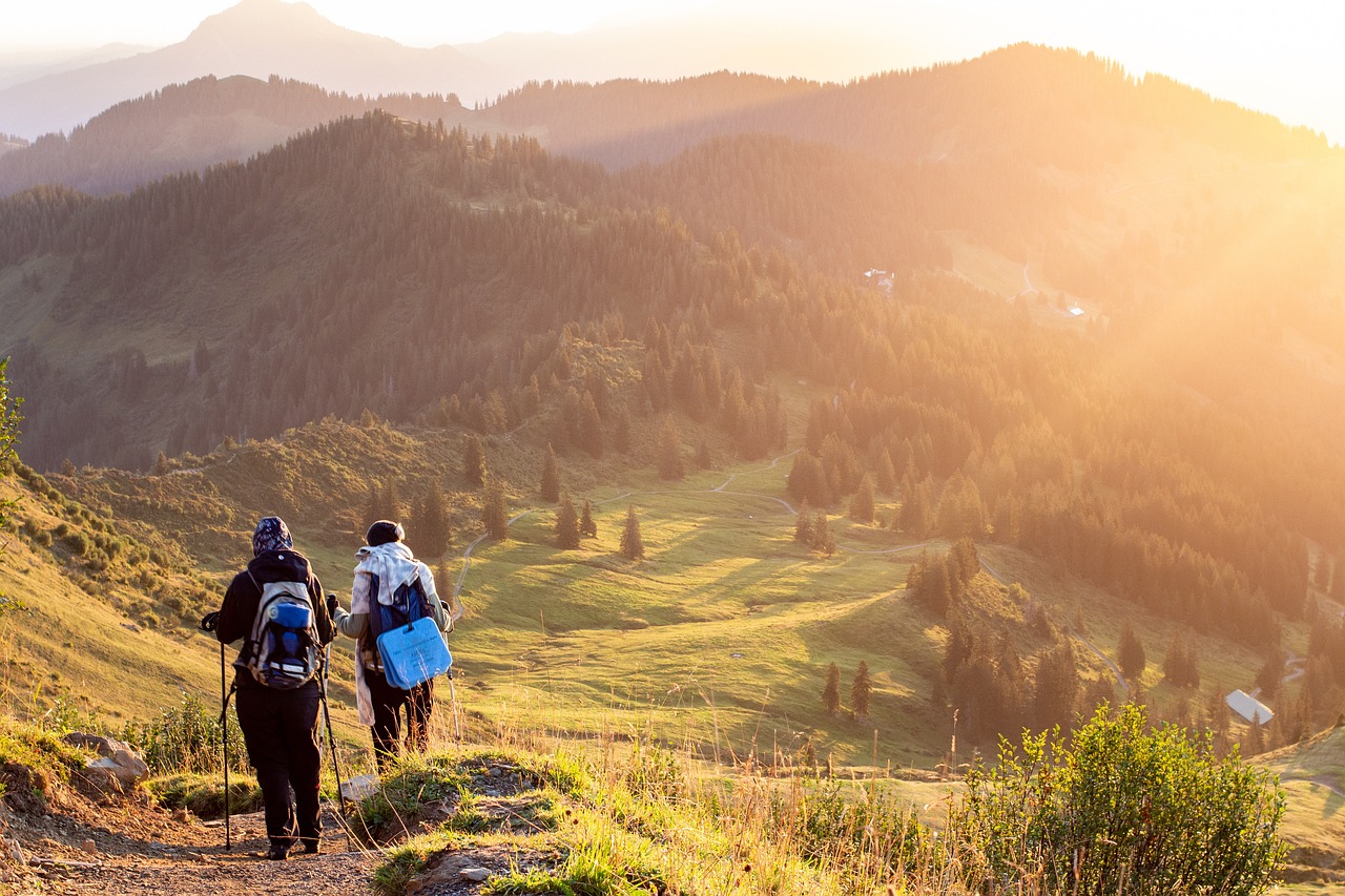 découvrez les merveilles du trekking en montagne, une aventure inoubliable au cœur des paysages majestueux. partez à l'exploration de sentiers pittoresques, rencontrez une faune fascinante et vivez des moments de pur bonheur en pleine nature.