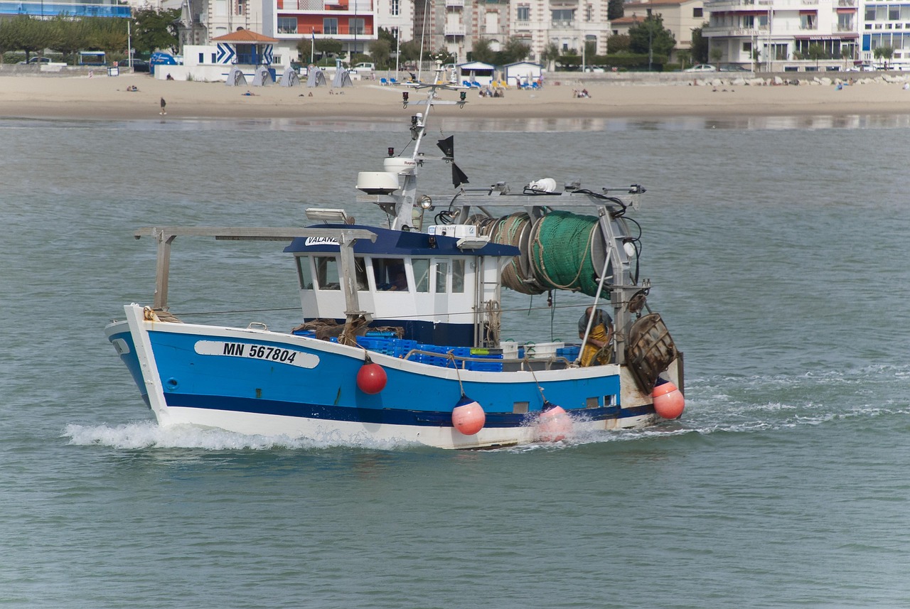 découvrez comment surmonter le mal de mer avec des conseils pratiques, des remèdes efficaces et des astuces pour profiter pleinement de vos voyages en bateau.