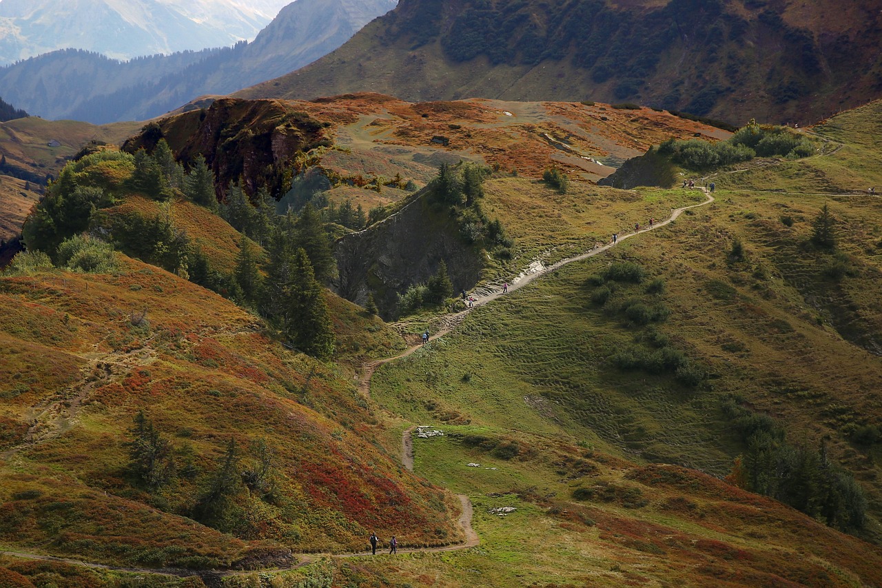 découvrez nos visites guidées thématiques captivantes qui vous plongent au cœur de l'histoire, de la culture et des traditions. explorez des lieux emblématiques avec des experts passionnés et vivez des expériences uniques adaptées à vos centres d'intérêt.