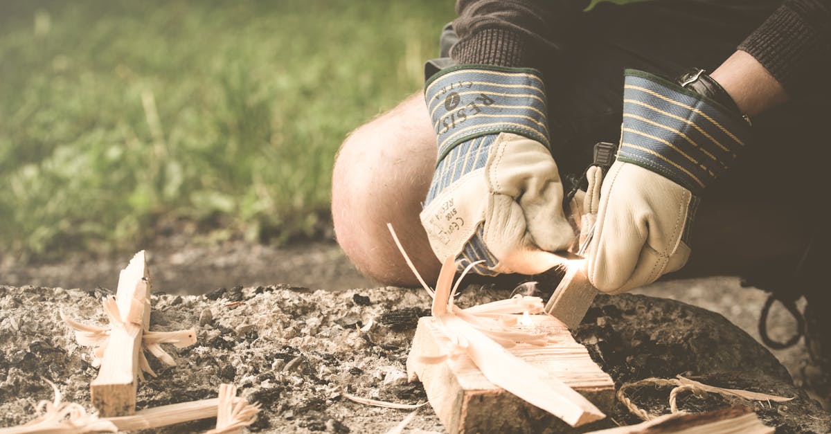 découvrez l'art du sculpture sur bois, une passion ancestrale qui transforme des morceaux de bois en œuvres d'art uniques. explorez des techniques, des inspirations et des conseils pour débutants et passionnés dans cet univers fascinant.