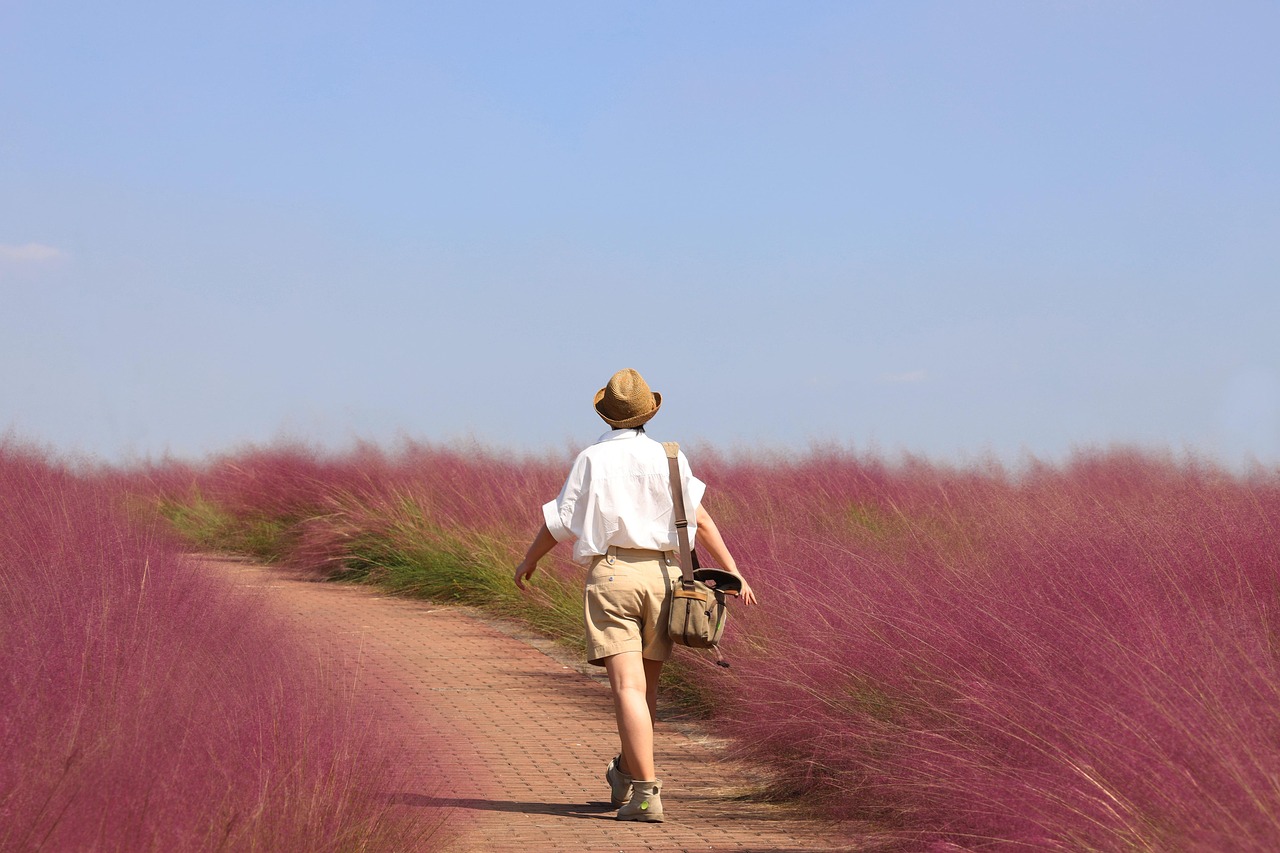 découvrez des voyages culturels fascinants qui vous plongent au cœur des traditions, de l'histoire et de l'art des différentes régions du monde. explorez des destinations authentiques, rencontrez des habitants passionnants et vivez des expériences uniques qui enrichissent votre compréhension des cultures locales.