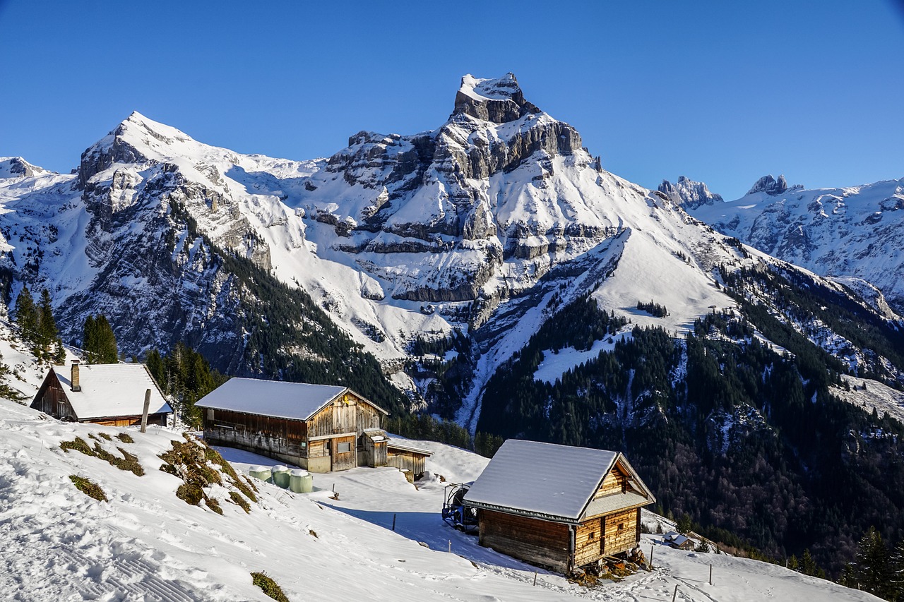 découvrez le ski touring, une aventure en pleine nature alliant randonnée et ski. explorez des paysages enneigés, ressentez la liberté des grands espaces et perfectionnez vos techniques de glisse. idéal pour les amateurs de sensations fortes et les amoureux des montagnes.