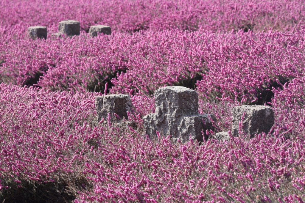 Comment capturer vos souvenirs de voyage