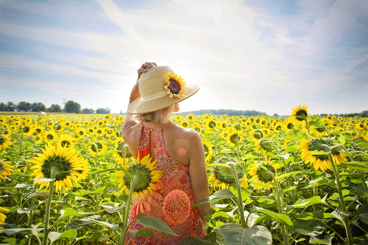 découvrez les saisons de voyage idéales pour explorer le monde. que ce soit pour profiter du soleil, admirer les paysages enneigés ou découvrir des cultures vibrantes, notre guide vous aidera à planifier vos escapades en fonction des meilleures périodes de l'année.