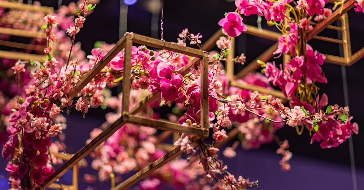 découvrez les événements culturels incontournables qui enrichissent notre patrimoine et célèbrent la diversité artistique. profitez d'une expérience unique à travers des expositions, des festivals, des concerts et des spectacles, adaptés à tous les goûts et toutes les générations.