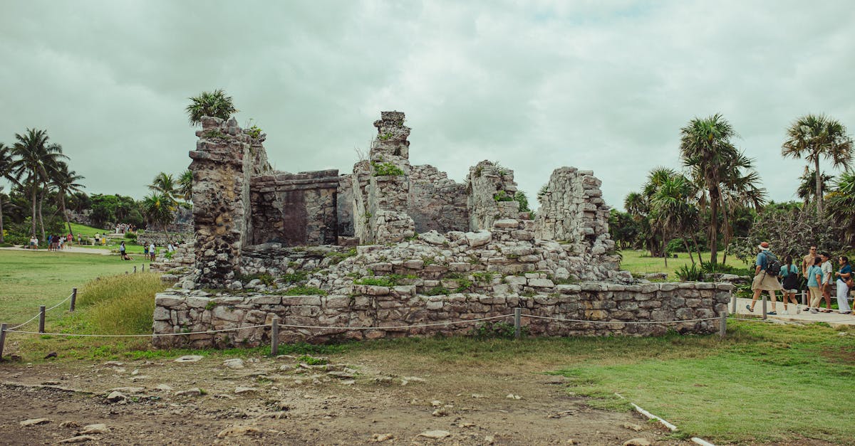 découvrez l'importance et la richesse du patrimoine culturel à travers le monde. explorez comment les traditions, les monuments et les arts façonnent notre identité collective et n'hésitez pas à préserver notre histoire pour les générations futures.