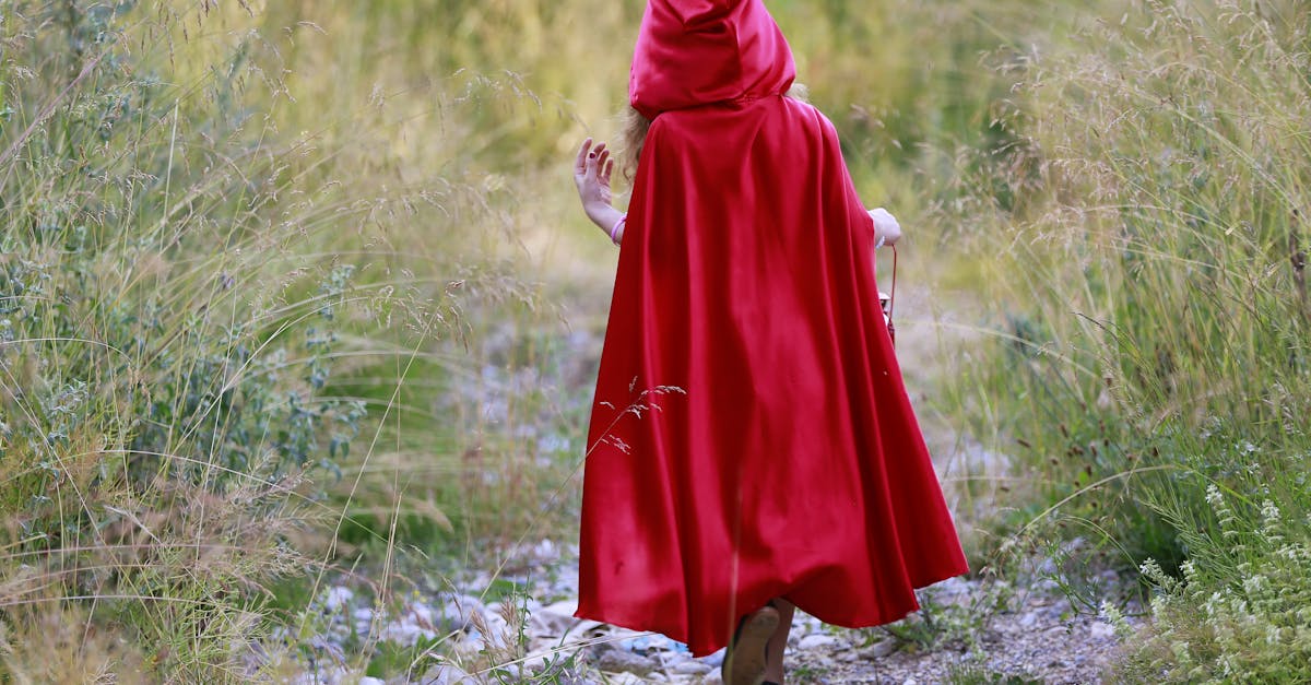 découvrez l'univers fascinant du folklore, un riche ensemble de traditions, légendes et croyances populaires qui façonnent l'identité culturelle à travers le monde. plongez dans des récits enchanteurs et des pratiques ancestrales qui perdurent depuis des générations.