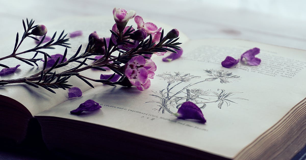 découvrez l'art de l'interprétation, une compétence essentielle qui permet de donner vie aux textes et aux idées à travers diverses formes d'expression. plongez dans les nuances et les techniques d'interprétation pour enrichir votre compréhension et votre communication.