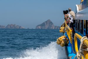 Découvrez les 15 destinations européennes idéales pour voyager avec votre fidèle compagnon à quatre pattes