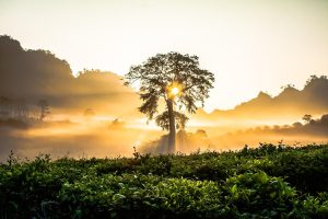 Les 25 meilleures destinations ensoleillées pour un voyage d’octobre