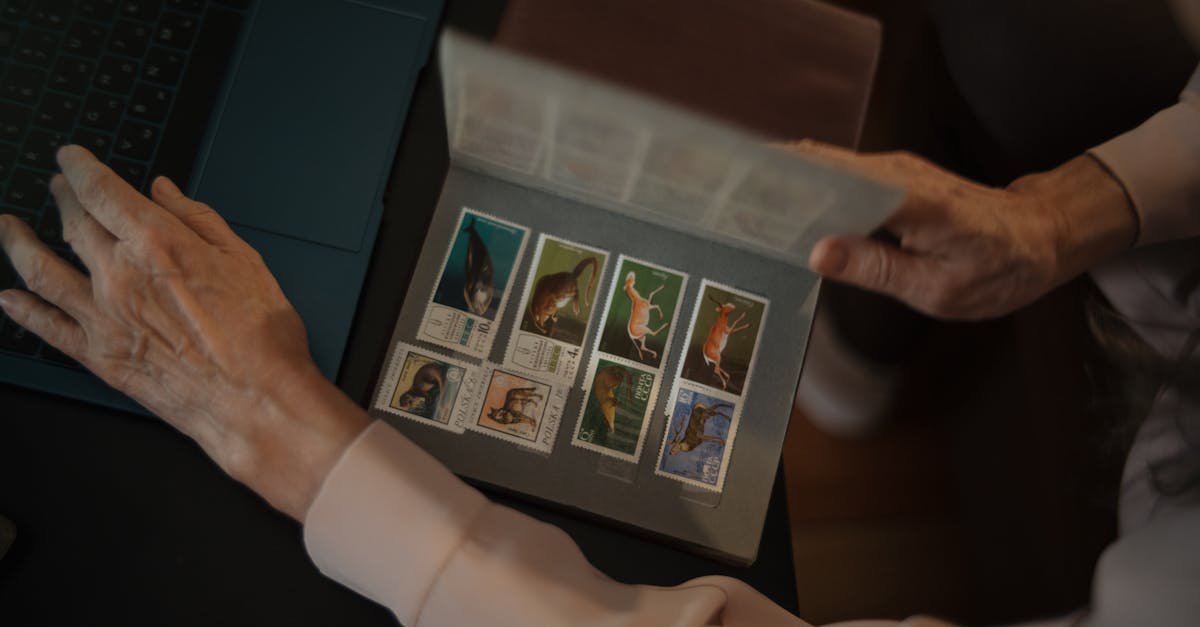découvrez l'art de la collecte à travers différentes passions et hobbies. que vous soyez un collectionneur de timbres, de pièces de monnaie ou d'objets rares, plongez dans l'univers fascinant de la collection et apprenez à enrichir votre collection tout en partageant vos expériences.