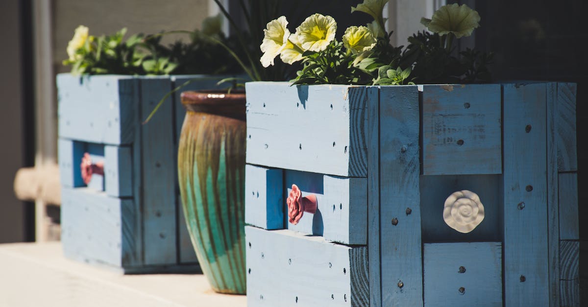 découvrez des idées créatives et simples de diy pour donner vie à vos projets. que vous soyez novice ou expert, explorez des tutoriels, des astuces et des inspirations pour personnaliser votre espace, réaliser des cadeaux uniques et développer vos compétences manuelles.