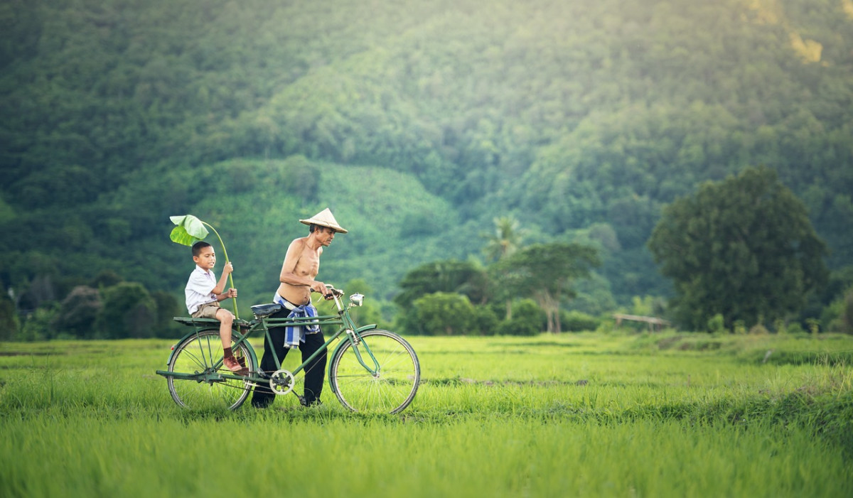 découvrez des conseils pratiques pour des voyages en famille réussis ! planifiez des activités adaptées, trouvez des hébergements familiaux et apprenez à voyager sereinement avec vos enfants.