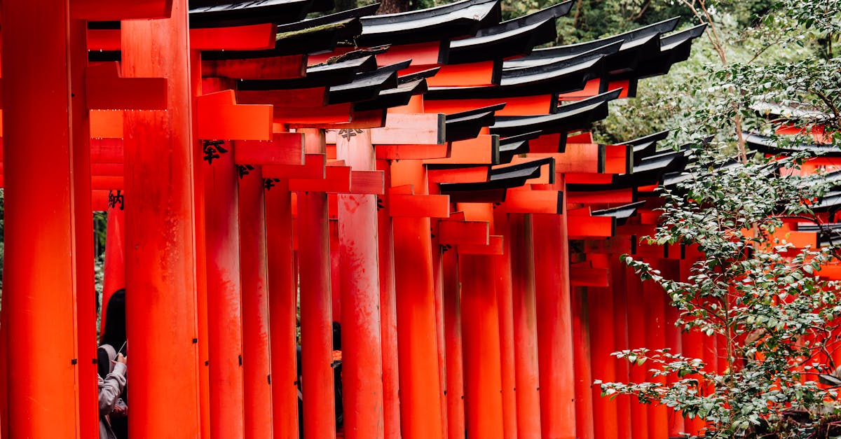 Fameuses destinations : découvrez les lieux incontournables à visiter absolument