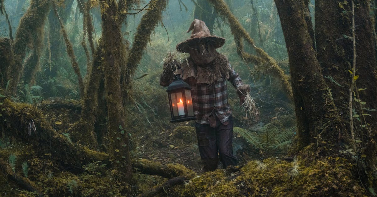 découvrez l'univers fascinant des épouvantails : leur histoire, leur rôle dans l'agriculture, et leur représentation dans la culture populaire. plongez dans ce symbole de protection des récoltes et d'imagination!